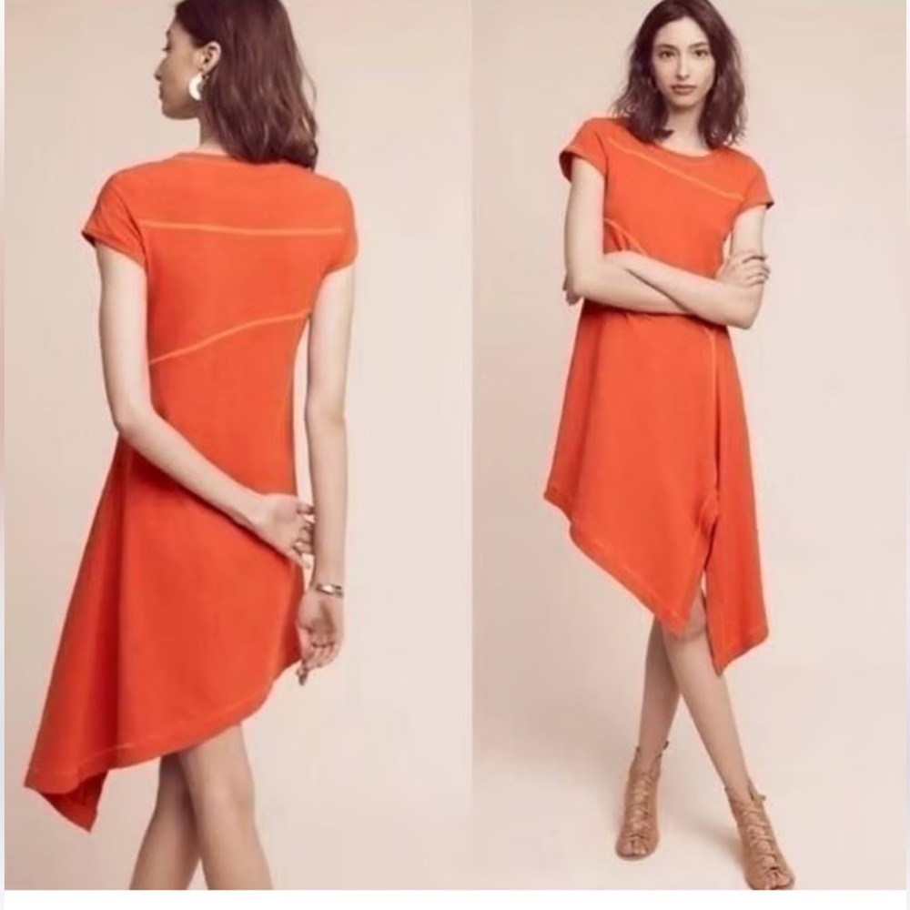 Anthropologie Cecily T-Shirt Holding Horses Dress